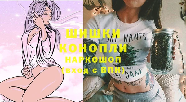 дурь Бежецк